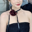 ˵DHɮ